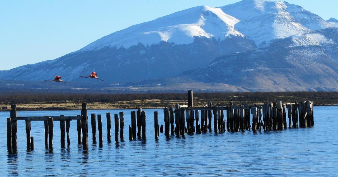 Patagonia Swiss House Hotel Puerto Natales Exterior foto